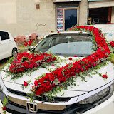 NOSHAHI MOTORS and TOUR'S