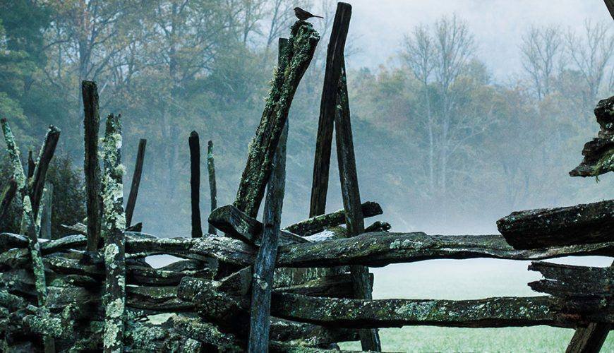 The Ultimate Guide to Finding Cheap and Luxurious Hotels Worldwide